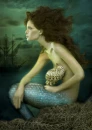 Mermaid with Shell.