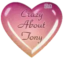 Crazy about Tony