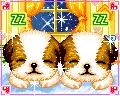 kawaii puppy