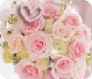 PINK ROSES