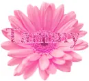 Tammy in a pink flower