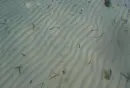 clear water...