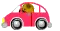 Dog Driving Car
