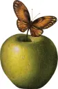 An Apple A Day Brings Beauty