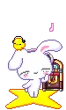 Sleeping Co Bunny