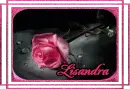 Lisandra