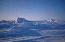 arctic