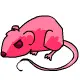 almost gummy rat food