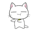 Kitty