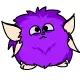 magral petpet