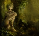 Fairy
