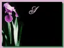 Have a beautiful day