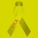 support ribbon