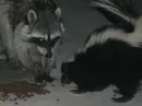 Where cute together