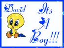 It's A Boy