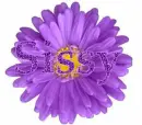 Sissy in purple flower