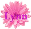 Lynn in pink flower