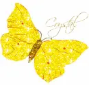 butterfly - crystal