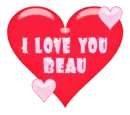 i love you beau