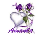 Amanda Purple Rose