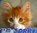 i`m sorry