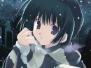 A Cold Winter