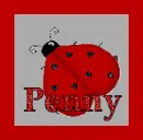 Penny on ladybug glitter