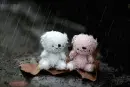 rainy day