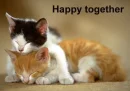 happy together^^