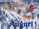 auguri