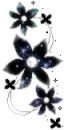 black flowers