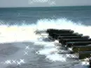 Ocean's Water