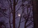Full Moon