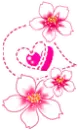 cute flowers