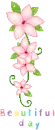 pink flowers - beautiful day