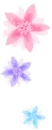 delicate flowers