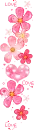pink flowers