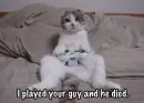 I Played Your Guy
