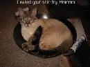 EatedYour Stir-Fry