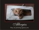 Plotting Allergies
