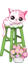 Cute Kitty on High Stool