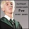 draco malfoy - hottest cockroach