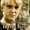 draco malfoy - ferret boy
