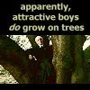 Draco - Attractive Boys