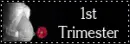 1st trimester