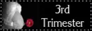 3rd trimester