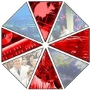 umbrella corp