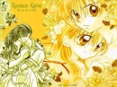 Kamikaze Kaitou