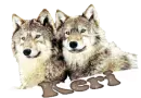 Keri - Sparkle Wolf