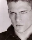 wentworth miller